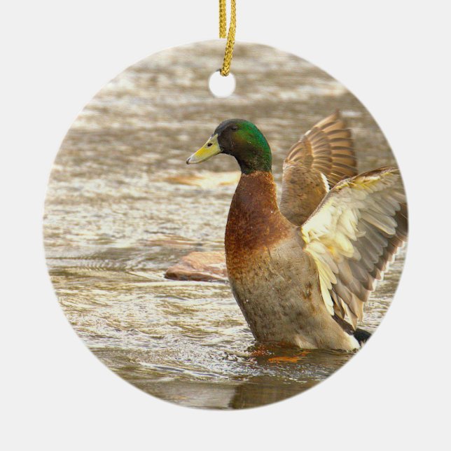 Adorno De Cerámica Mallard Duck Photo Ornament  (Frente)