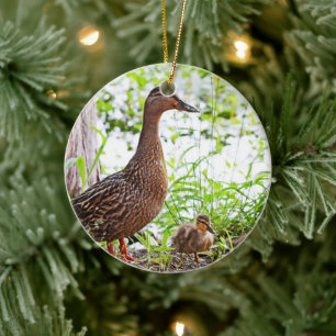 Adorno De Cerámica Mallard y Ducklings por Shirley Taylor