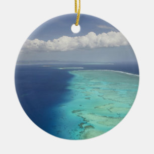 Adorno De Cerámica Malolo Barrier Reef off Malolo Island, Fiji