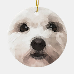 Adorno De Cerámica Maltipoo