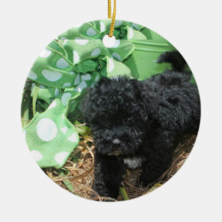Adorno De Cerámica Maltipoo negro