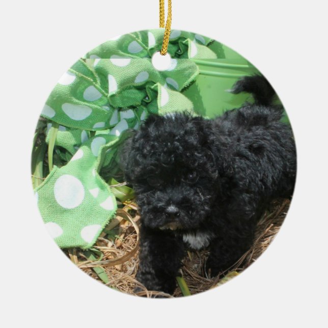 Adorno De Cerámica Maltipoo negro (Frente)