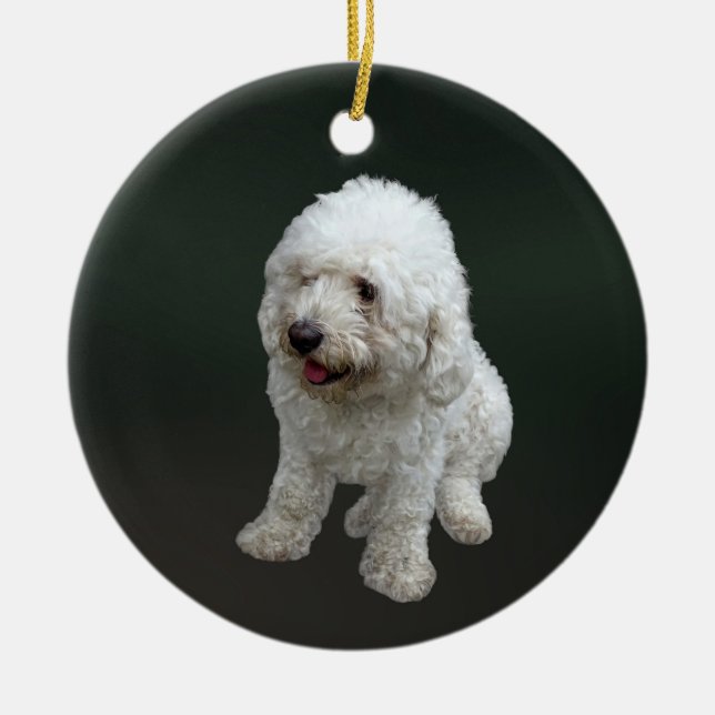 Adorno De Cerámica Maltipoo Puppy (Frente)