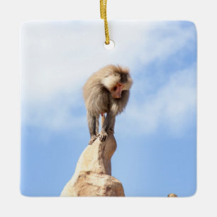 Adorno De Cerámica Mandrill en la cima de una montaña