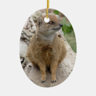 Adorno De Cerámica mangosta amarilla