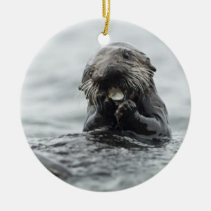 Adorno De Cerámica Mantequilla marina adorable