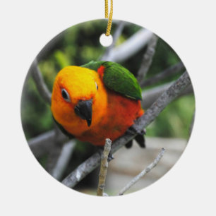 Adorno De Cerámica Mantequillas