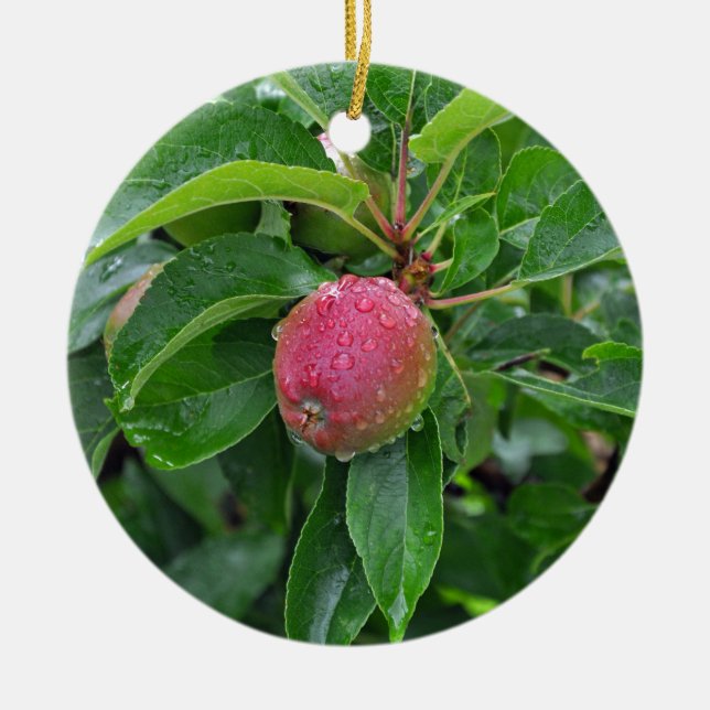 Adorno De Cerámica manzana roja fresca en el árbol (Frente)