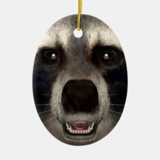 Adorno De Cerámica Mapache (Frente)
