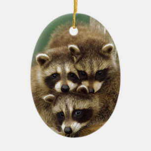 Adorno De Cerámica Mapache lindo del bebé
