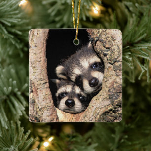 Adorno De Cerámica Mapaches Bebés Asomándose desde un Árbol