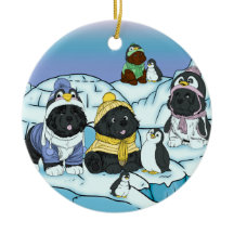 Marcha de cachorros de pingüino