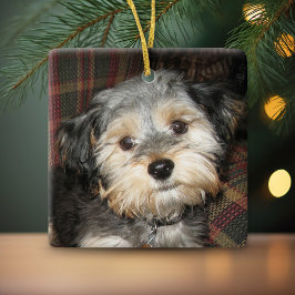 Adorno De Cerámica Marco fotográfico de perro mascota - Añadir nombre
