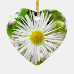 Adorno De Cerámica Margarita Fleabane