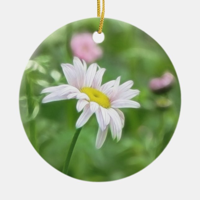 Adorno De Cerámica Margaritas del pelitre - coccineum del Tanacetum (Frente)