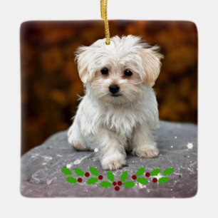 Adorno De Cerámica Marioneta maltesa con Navidades holly