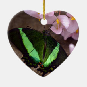 Adorno De Cerámica Mariposa