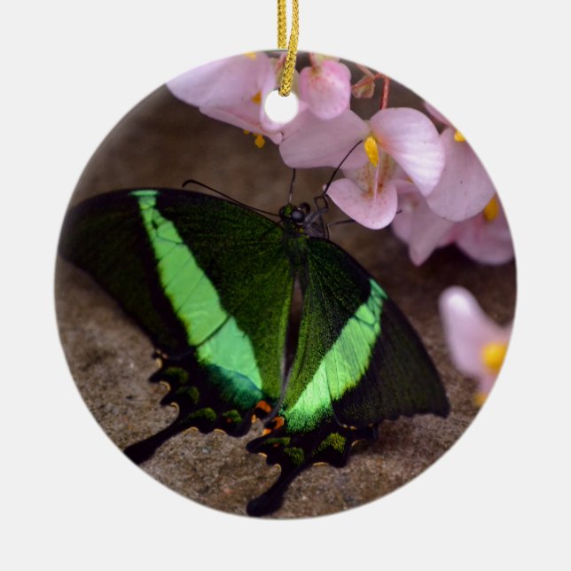 Adorno De Cerámica Mariposa (Frente)