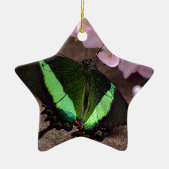 Adorno De Cerámica Mariposa (Frente)