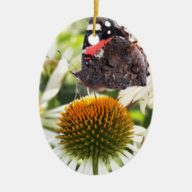 Adorno De Cerámica Mariposa almirante en la flor (Frente)