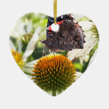 Mariposa almirante en la flor