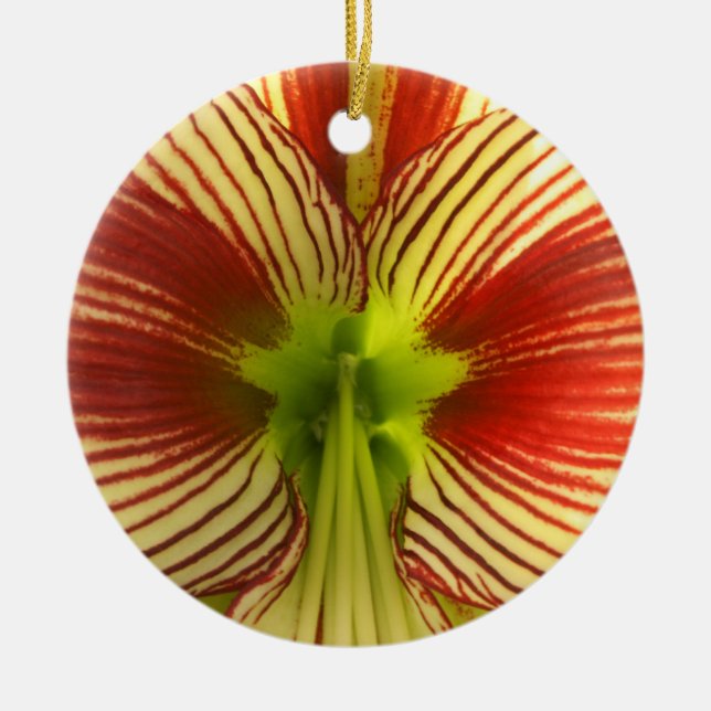 Adorno De Cerámica Mariposa Amaryllis (Frente)