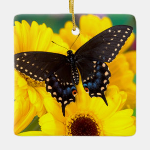 Adorno De Cerámica Mariposa cola de golondrina negra