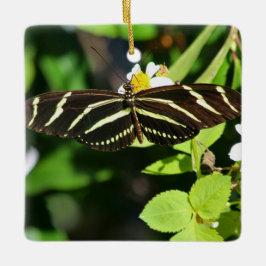 Adorno De Cerámica Mariposa de alas largas cebra