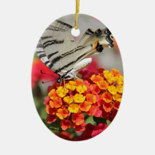 Adorno De Cerámica Mariposa de cebra blanca y negra