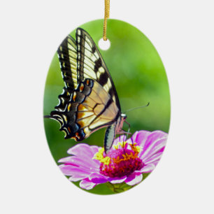 Adorno De Cerámica Mariposa de cola cruda