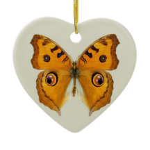 Mariposa de Meadow Argus