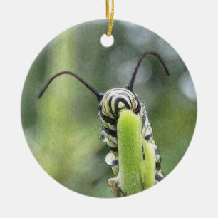 Adorno De Cerámica Mariposa de monarca joven caprichosa Caterpillar