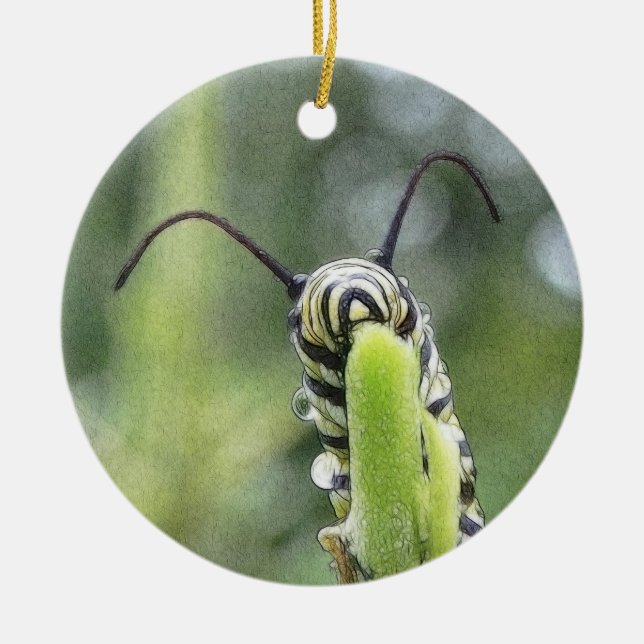 Adorno De Cerámica Mariposa de monarca joven caprichosa Caterpillar (Frente)