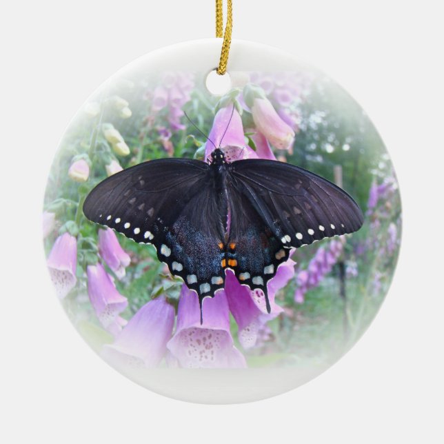 Adorno De Cerámica Mariposa femenina de Spicebush Swallowtail (Frente)