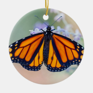Adorno De Cerámica Mariposa monarca