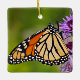 Adorno De Cerámica Mariposa Monarca en Liatris