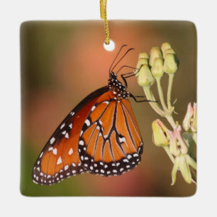 Adorno De Cerámica Mariposa reina en una rama