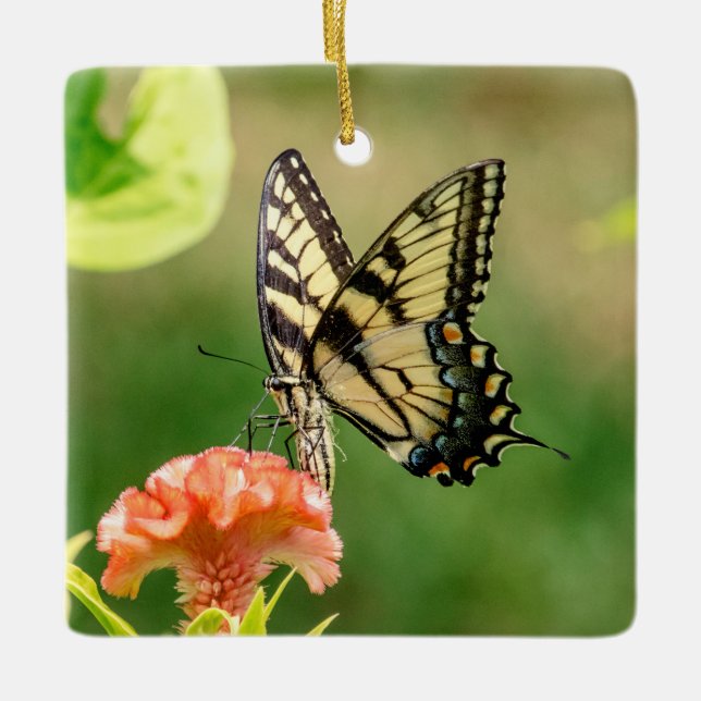 Adorno De Cerámica Mariposa Swallowtail del Tigre del Este (Anverso)