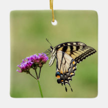 Mariposa Swallowtail del Tigre del Este