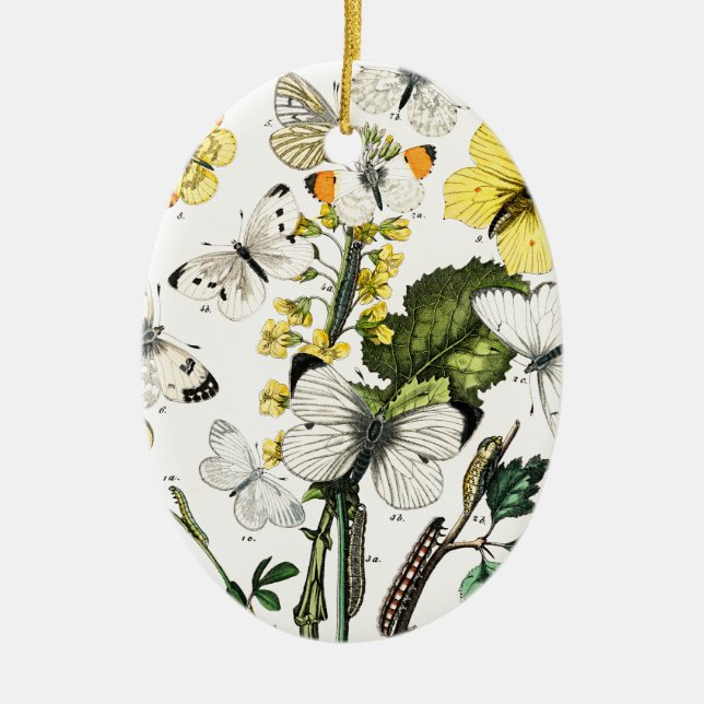 Adorno De Cerámica Mariposas europeas antiguas (Frente)