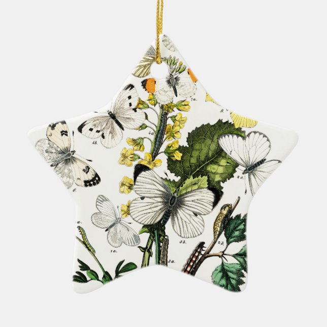 Adorno De Cerámica Mariposas europeas antiguas (Frente)