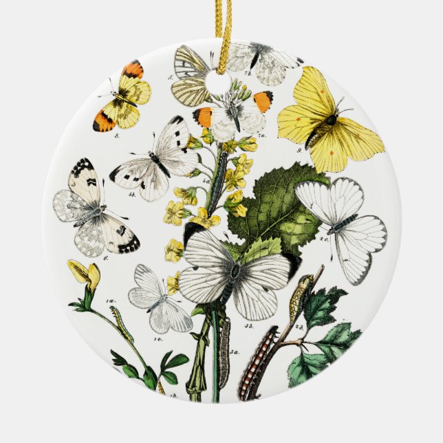 Adorno De Cerámica Mariposas europeas antiguas (Frente)