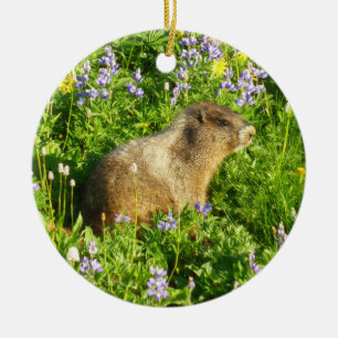 Adorno De Cerámica Marmot en Mont Rainier Wildflowers