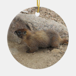 Adorno De Cerámica Marmota