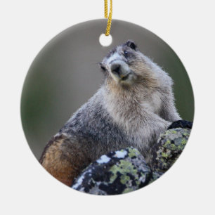 Adorno De Cerámica marmota