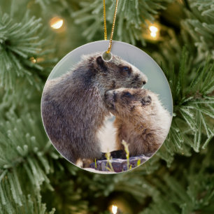 Adorno De Cerámica Marmota Madre con Bebé