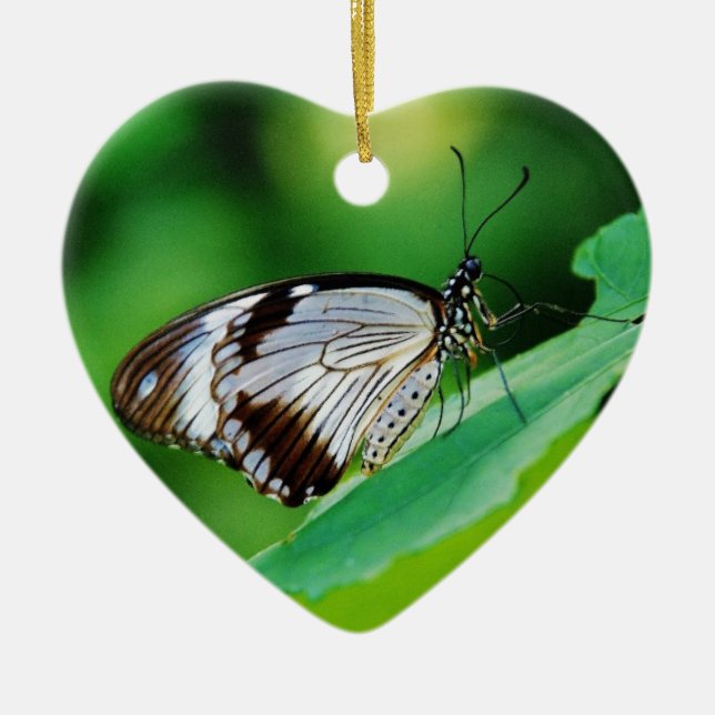 Adorno De Cerámica Marrón oscuro y mariposa gris (Frente)