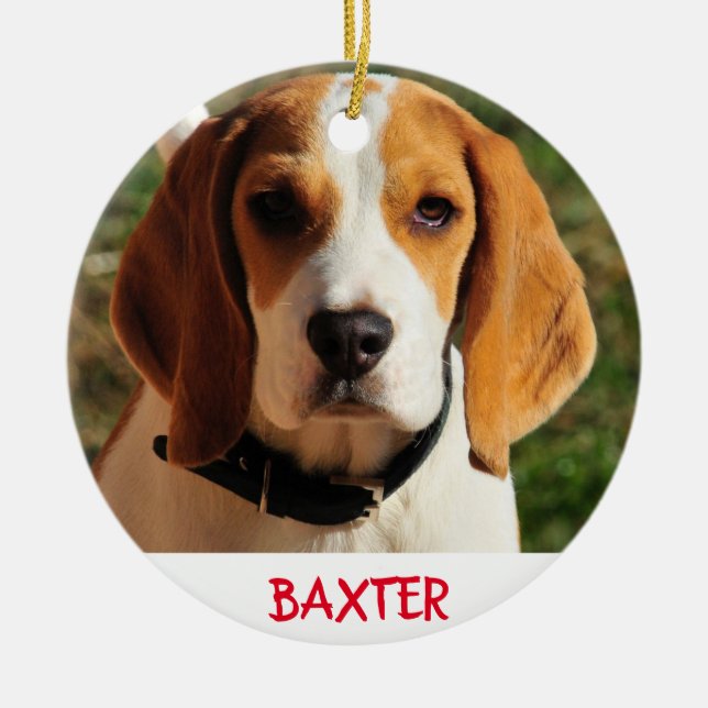 Adorno De Cerámica Mascota Beagle Dog Photo Personalizada (Frente)