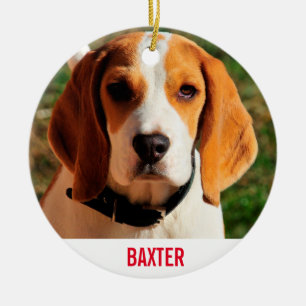 Adorno De Cerámica Mascota Beagle Dog Photo Personalizada