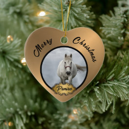 Adorno De Cerámica Mascota de caballos personalizado nombre de foto d